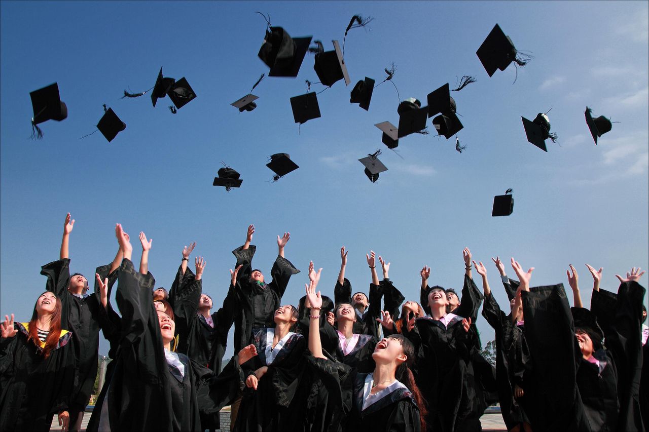 Student reviewing study abroad options